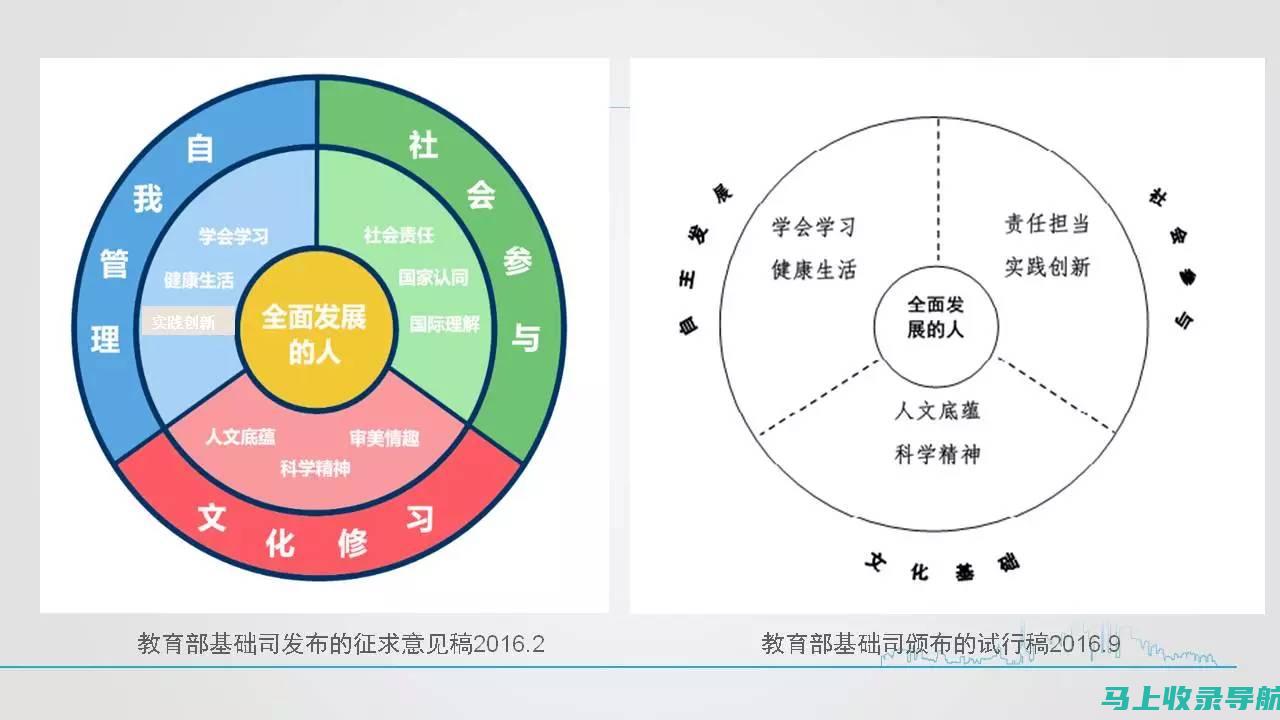 掌握核心技能：专业网站优化代理公司助力企业网络成长